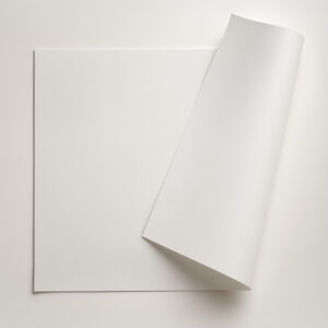 1795__conv.jpg Fundo bandeja 30x40 25g pct 500un