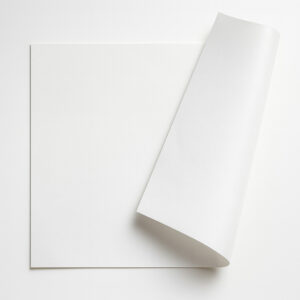 2754__conv.jpg Fundo bandeja pequeno pct 500un 270x170 90g uhg