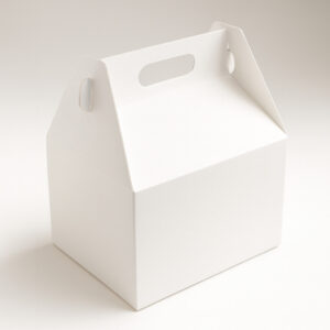 2757__conv.jpg Caixa lanche fechada pct com 250